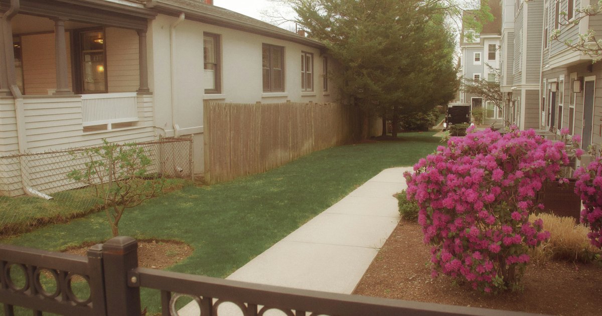 Suburban property fence line separating street from private yard
